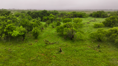 Small acreage for hunting residential and hunting Megargel, TX - image 33