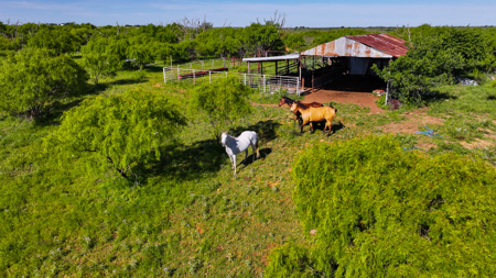 Small acreage for hunting residential and hunting Megargel, TX - image 45