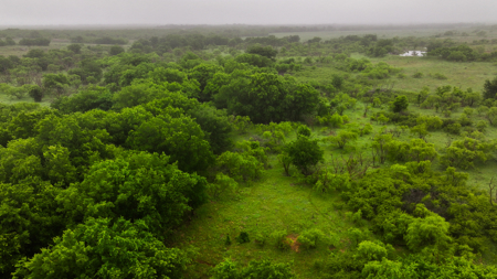 Small acreage for hunting residential and hunting Megargel, TX - image 14
