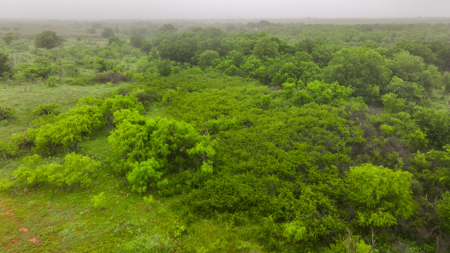 Small acreage for hunting residential and hunting Megargel, TX - image 18