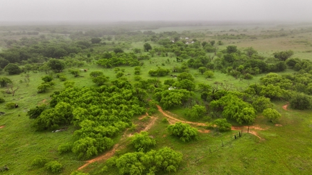 Small acreage for hunting residential and hunting Megargel, TX - image 1