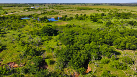 Small acreage for hunting residential and hunting Megargel, TX - image 47