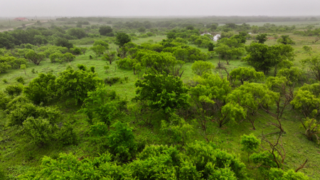 Small acreage for hunting residential and hunting Megargel, TX - image 35