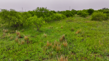 Small acreage for hunting residential and hunting Megargel, TX - image 36