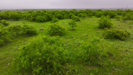 Small acreage for hunting residential and hunting Megargel, TX - image 19