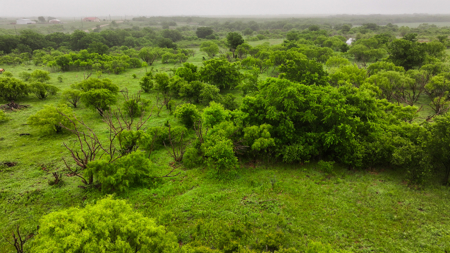 Small acreage for hunting residential and hunting Megargel, TX - image 38