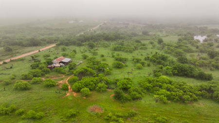Small acreage for hunting residential and hunting Megargel, TX - image 7