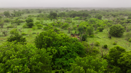 Small acreage for hunting residential and hunting Megargel, TX - image 30