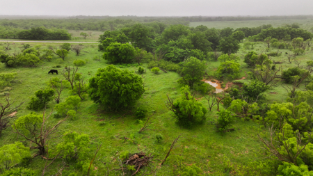 Small acreage for hunting residential and hunting Megargel, TX - image 20