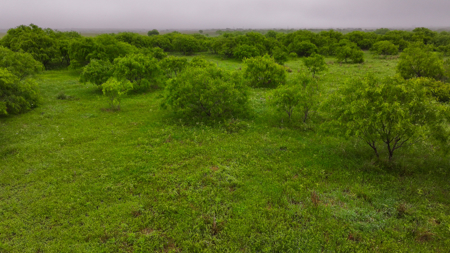 Small acreage for hunting residential and hunting Megargel, TX - image 22