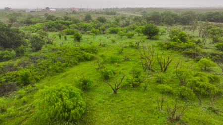 Small acreage for hunting residential and hunting Megargel, TX - image 25