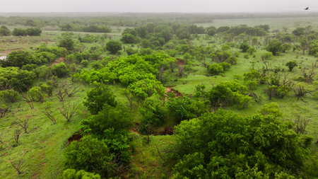 Small acreage for hunting residential and hunting Megargel, TX - image 9