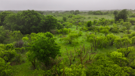 Small acreage for hunting residential and hunting Megargel, TX - image 13