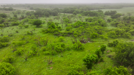 Small acreage for hunting residential and hunting Megargel, TX - image 17