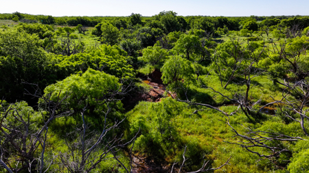Small acreage for hunting residential and hunting Megargel, TX - image 43