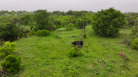 Small acreage for hunting residential and hunting Megargel, TX - image 12