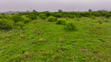 Small acreage for hunting residential and hunting Megargel, TX - image 31
