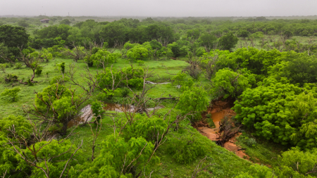 Small acreage for hunting residential and hunting Megargel, TX - image 8