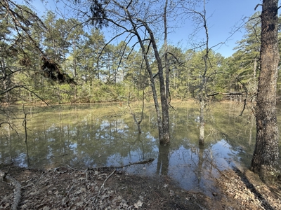 Hunting Land And Timberland Property For Sale In Arkansas - image 3