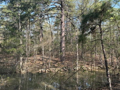 Hunting Land And Timberland Property For Sale In Arkansas - image 9