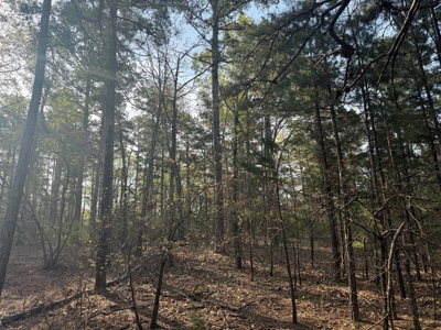Hunting Land And Timberland Property For Sale In Arkansas - image 10