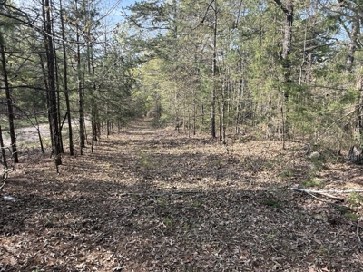 Hunting Land And Timberland Property For Sale In Arkansas - image 8