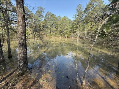 Hunting Land And Timberland Property For Sale In Arkansas - image 7