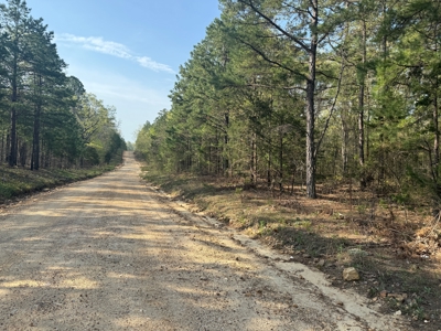 Hunting Land And Timberland Property For Sale In Arkansas - image 11