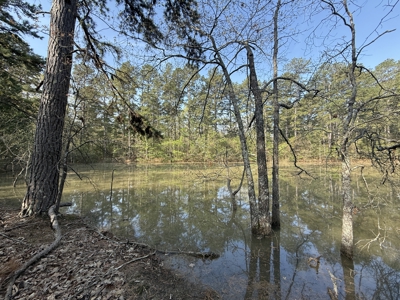 Hunting Land And Timberland Property For Sale In Arkansas - image 6