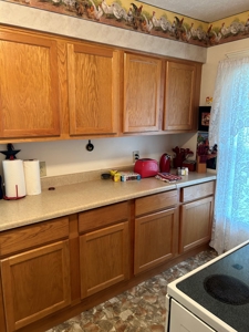2 Bedroom 1.5 Bath Home - Garage - Russell Springs, Ky. - image 34