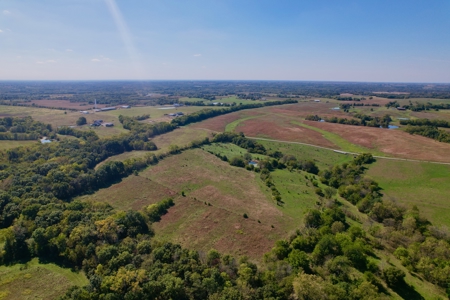 Daviess County MO Land For Sale – 20 Acres Near Hamilton, MO - image 7