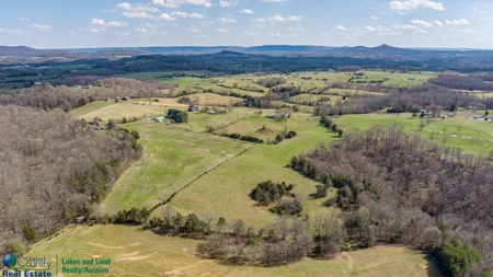 Online Only Auction - Farmland and Timber - image 22