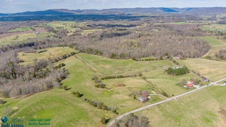Online Only Auction - Farmland and Timber - image 26