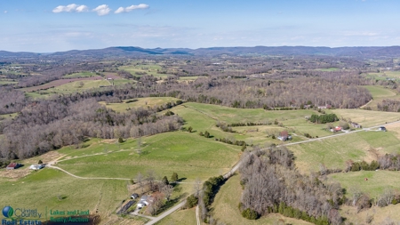 Online Only Auction - Farmland and Timber - image 9