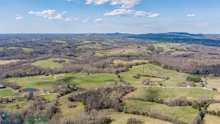 Online Only Auction - Farmland and Timber - image 2