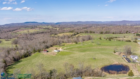 Online Only Auction - Farmland and Timber - image 5