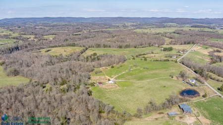Online Only Auction - Farmland and Timber - image 10