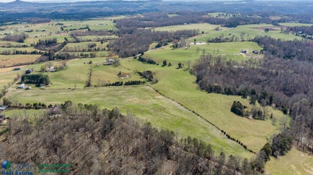 Online Only Auction - Farmland and Timber - image 23