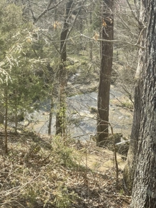 Online Only Auction - Farmland and Timber - image 33