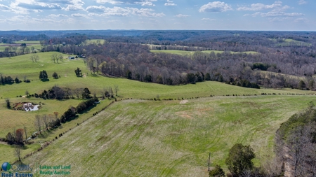 Online Only Auction - Farmland and Timber - image 20