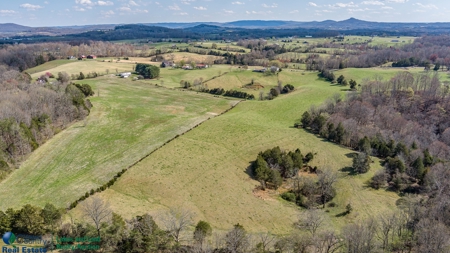 Online Only Auction - Farmland and Timber - image 21