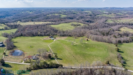 Online Only Auction - Farmland and Timber - image 13