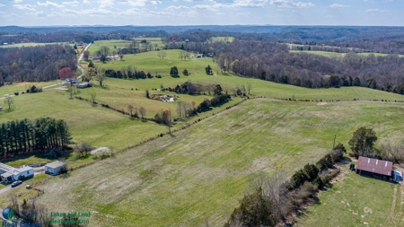 Online Only Auction - Farmland and Timber - image 19