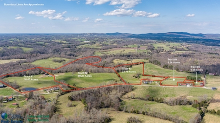 Online Only Auction - Farmland and Timber - image 1