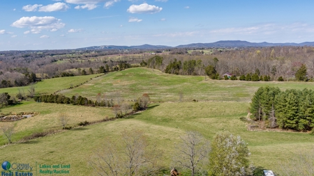 Online Only Auction - Farmland and Timber - image 16