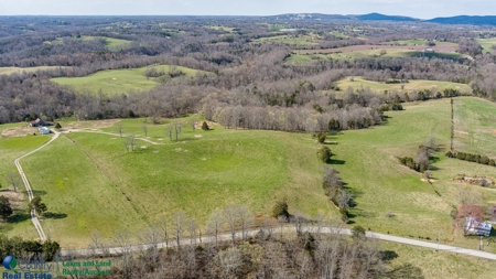 Online Only Auction - Farmland and Timber - image 4