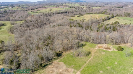 Online Only Auction - Farmland and Timber - image 15