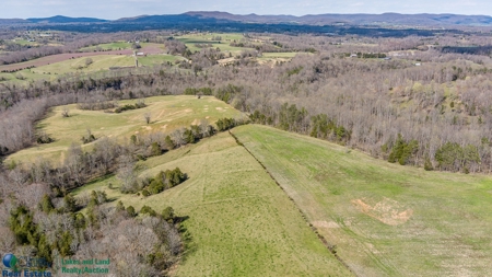 Online Only Auction - Farmland and Timber - image 25