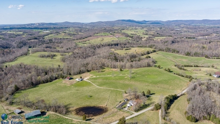 Online Only Auction - Farmland and Timber - image 8