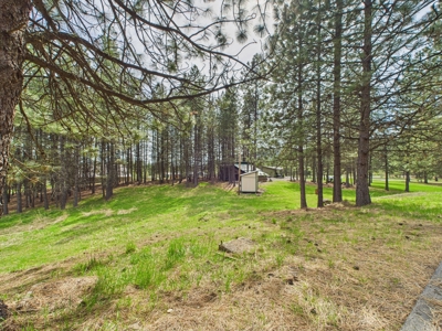 Country Home and Land for Sale Just Outside of Orofino, Idaho - image 10